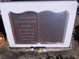 image of grave number 593188